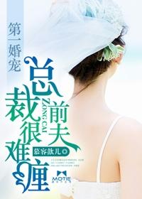 第一婚宠:总裁前夫很难缠 第一婚宠:总裁前夫很难缠