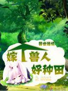 兽世迷情:嫁个兽人好种田 兽世迷情:嫁个兽人好种田