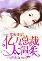 甜蜜辣妻:亿万总裁太温柔 甜蜜辣妻:亿万总裁太温柔