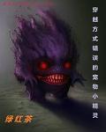 穿越方式错误的宠物小精灵 穿越方式错误的宠物小精灵